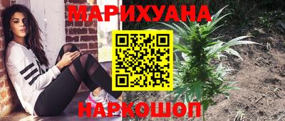 прущие грибы Будённовск