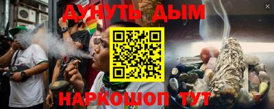 прущие грибы Будённовск