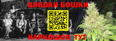 прущие грибы Будённовск