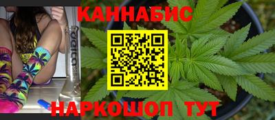прущие грибы Будённовск